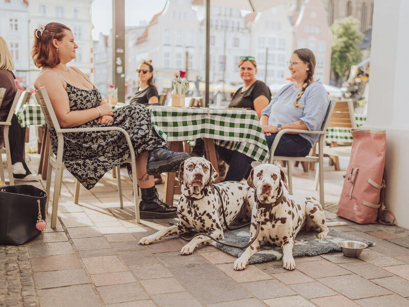 Mehrere Personen sitzen an einem Tisch im Restaurant. Neben dem Tisch liegen zwei Dalmatiner.
