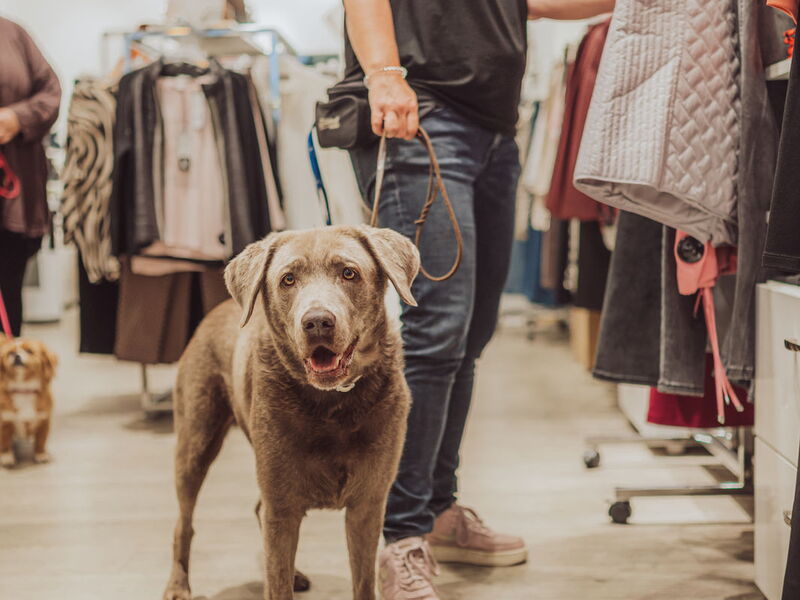 Eine Frau sieht sich Kleidung in einem Geschäft an. Sie hat einen Labrador an der Leine dabei.