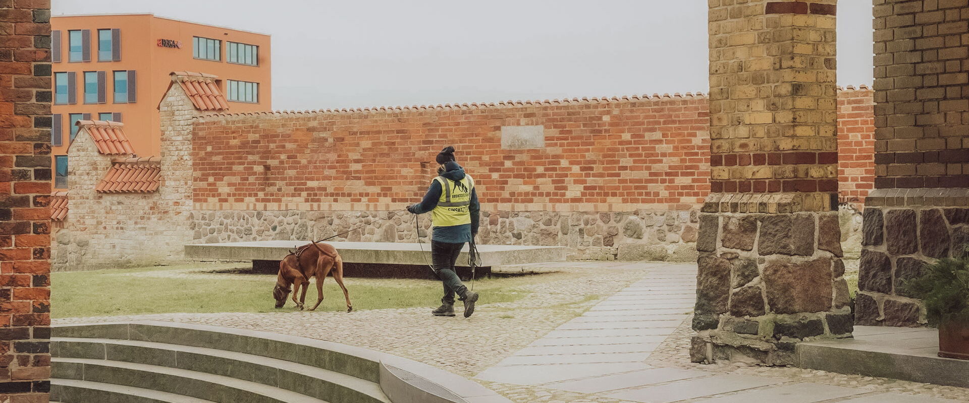 Hundetrainerin Sophia beim Mantrailing mit ihrem Hund