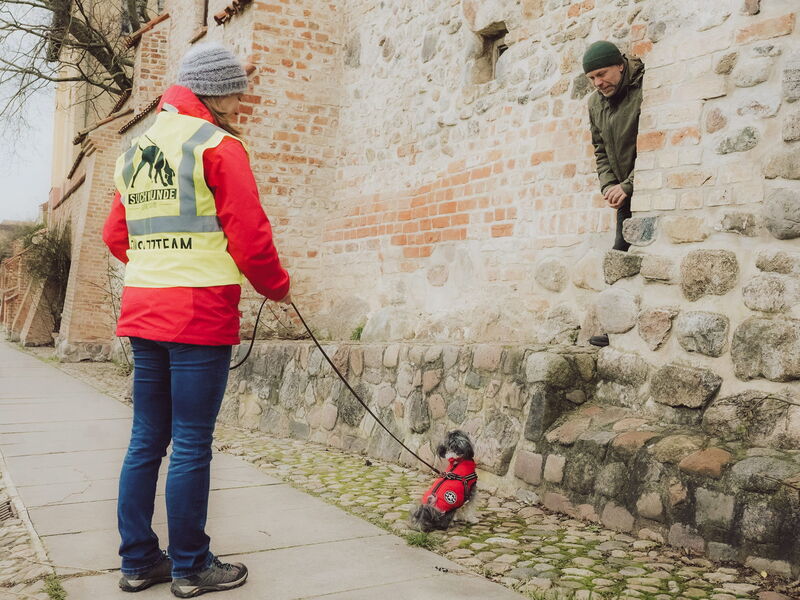 Ein Suchhund hat eine Versteckperson gefunden