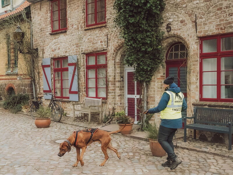 Hundetrainerin Sophia beim Mantrailing mit ihrem Hund