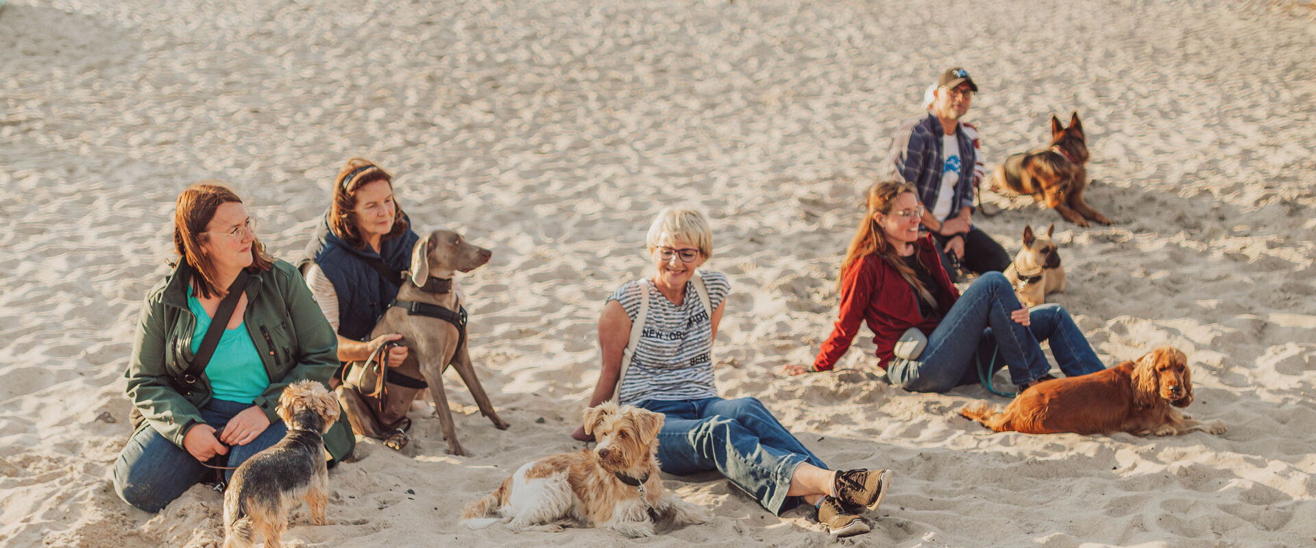 Mehrere Menschen und Hunde sitzen am Strand im Sand
