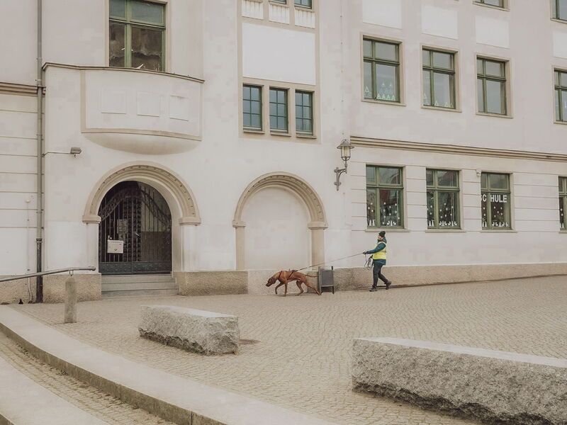 Hundetrainerin Sophia Tumat beim Mantrailing