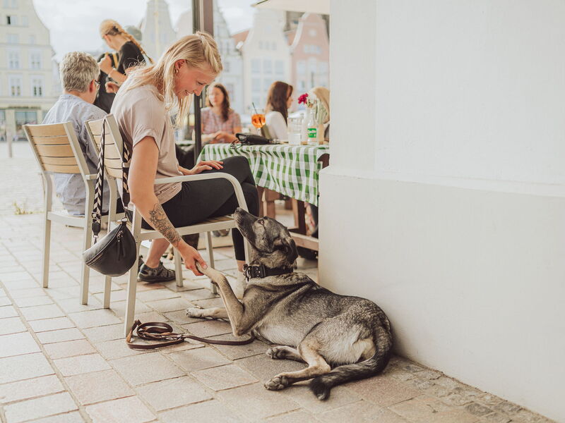 Ein Hund gibt einer Frau im Restaurant sein Pfötchen
