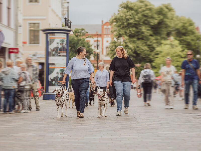 Hundetrainerin Sophia läuft neben einer Frau mit zwei angeleinten Dalmatinern durch die Fußgängerzone