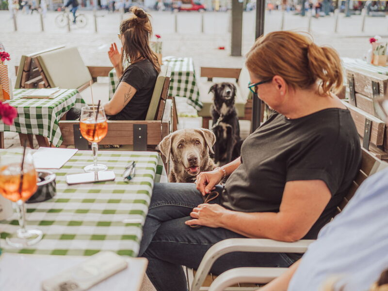 MEine Frau sitzt in einem Restaurant am Tisch und hat Blickkontakt mit einem daneben sitzenden Hund