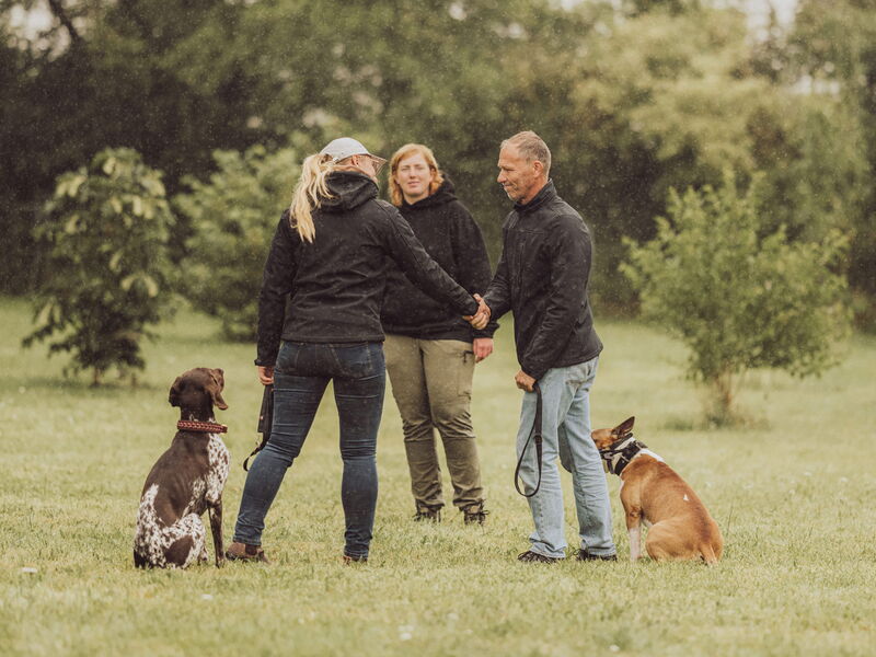 Zwei Menschen mit Hunden geben sich die Hand zur Begrüßung