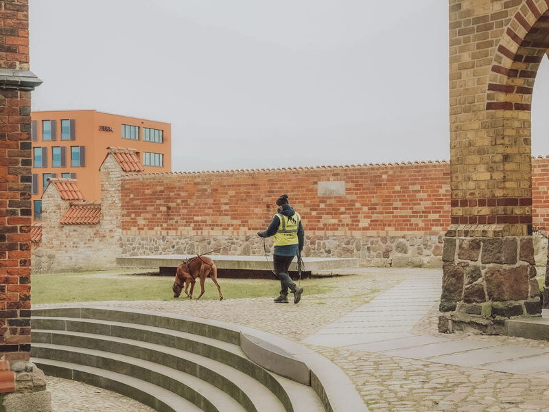 Hundetrainerin Sophia beim Mantrailing mit ihrem Hund