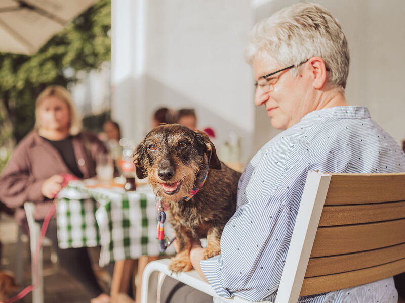 Eine Frau sitzt im Restaurant und hat einen Dackel auf dem Schoß