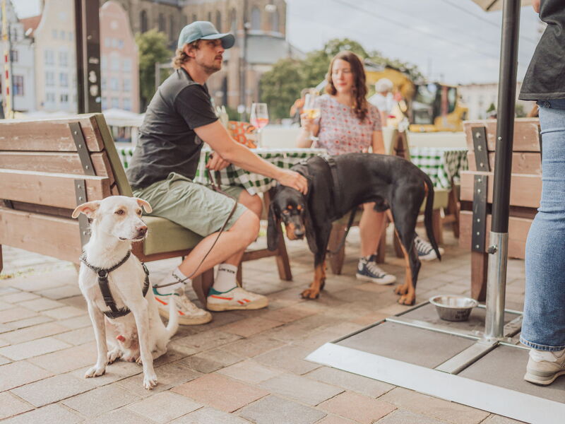 Ein Mann und eine Frau sitzen im Restaurant. Neben dem Mann sind zwei Hunde.