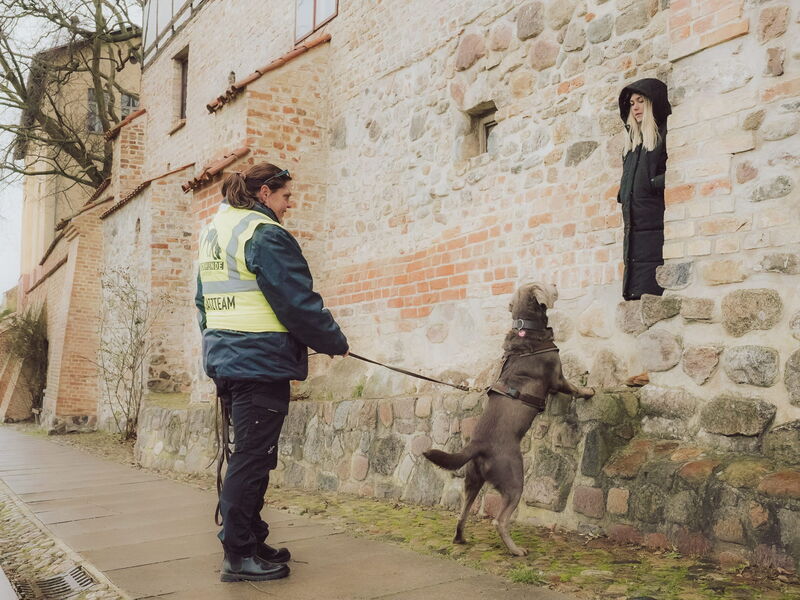 Ein Suchhund hat eine Versteckperson gefunden