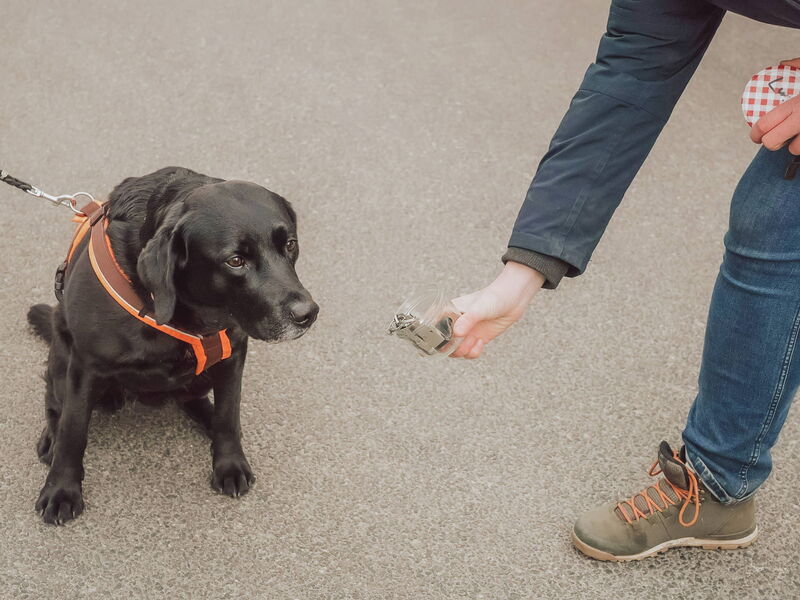 Ein Suchhund bekommt eine Geruchsprobe in einem Glas gereicht