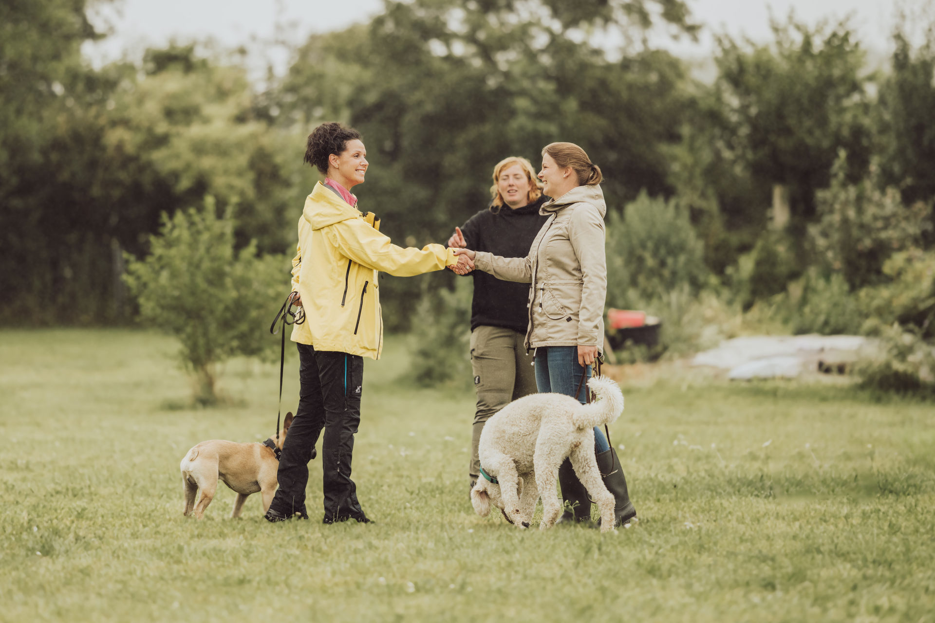 Zwei Frauen mit angeleiten Hunden geben sich die Hand